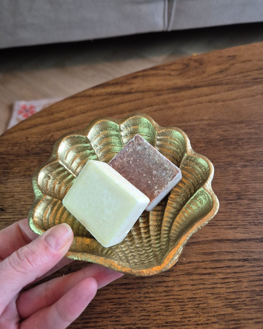 Decoratieschaal schelp met amberblokjes