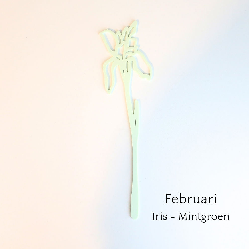 Levensbloem van Muuss-Joeff voor de maand februari, een mintgroene iris