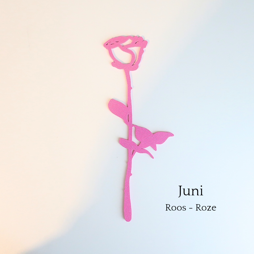 Levensbloem roze roos van Muuss-Joeff