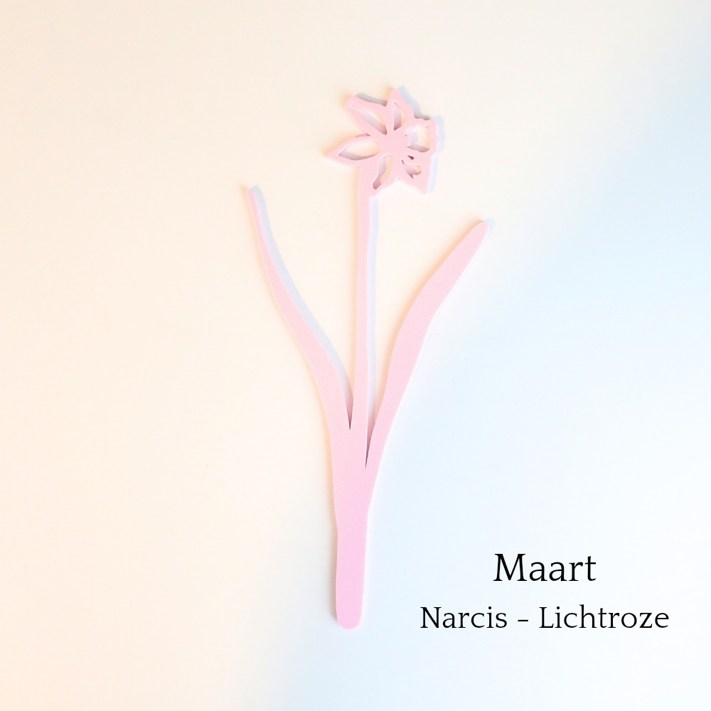 Levensbloem voor de maand maart van Muuss-Joeff