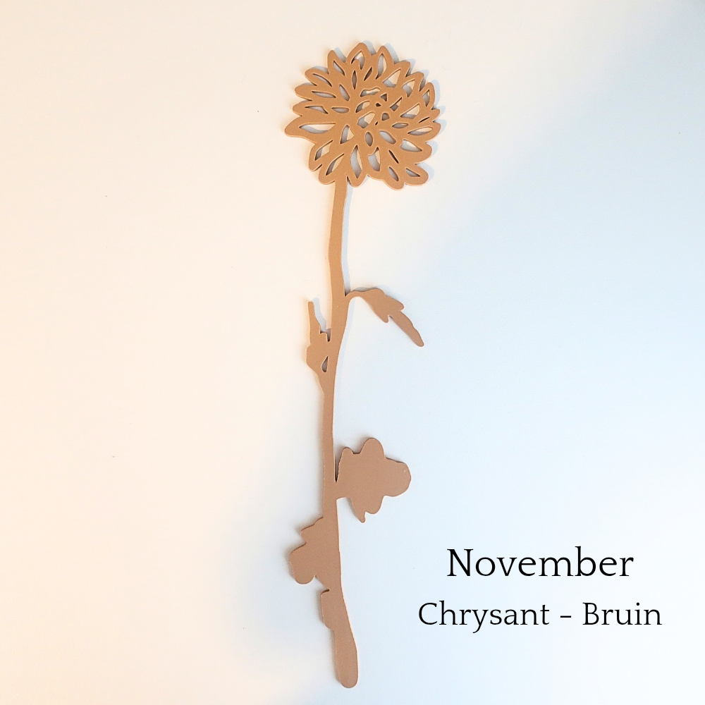 Levensbloem november, bruine chrysant van Muuss-Joeff