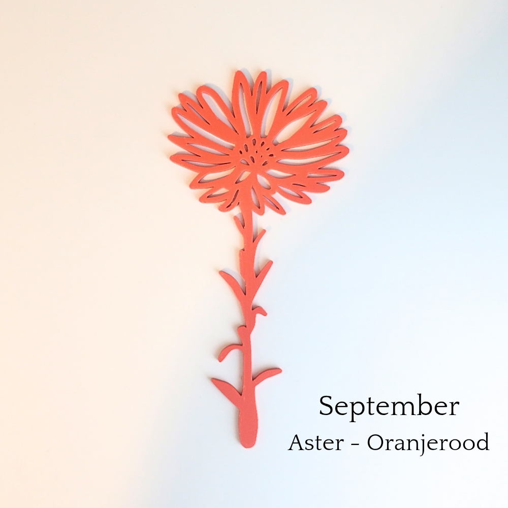 Kleurrijke wanddecoratie levensbloem september van Muuss-Joeff