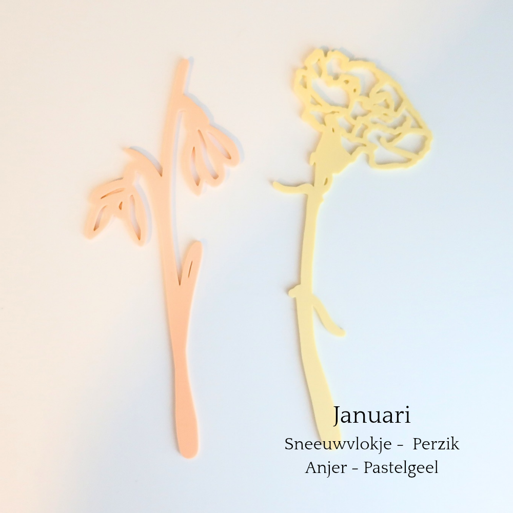 Levensbloemen Januari, kleurrijke wanddecoratie van Muuss-Joeff