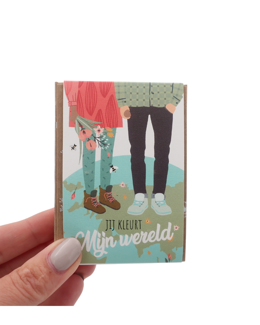 Handgemaakte mini gift box met vier duurzame zaadbommetjes van Blossombs, gevuld met biologische wilde bloemzaden – een vrolijk en betekenisvol cadeau.